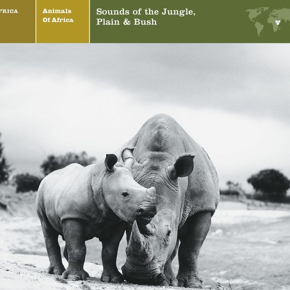 Picture of EXPLORER SERIES: AFRICA - Animals of Africa: Sounds of the Jungle, Plain & Bush