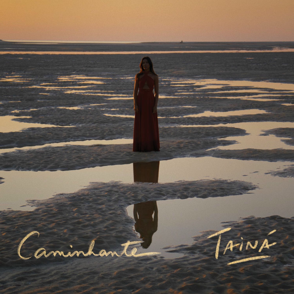 Album cover of Caminhante