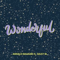 Cover of Wonderful