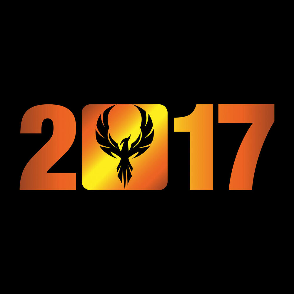 Picture of 2017