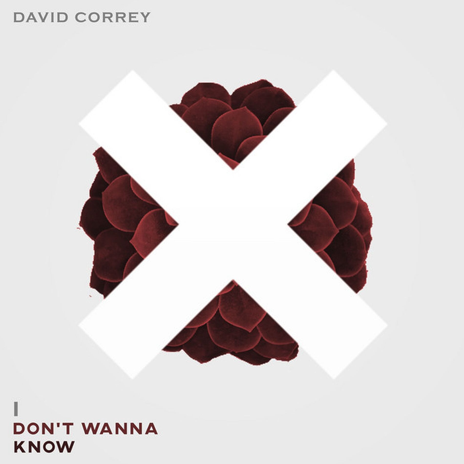 Album cover of I Don't Wanna Know