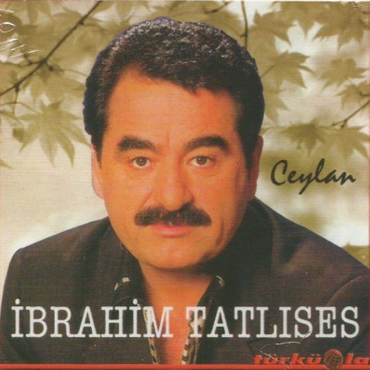 Album cover of Ceylan