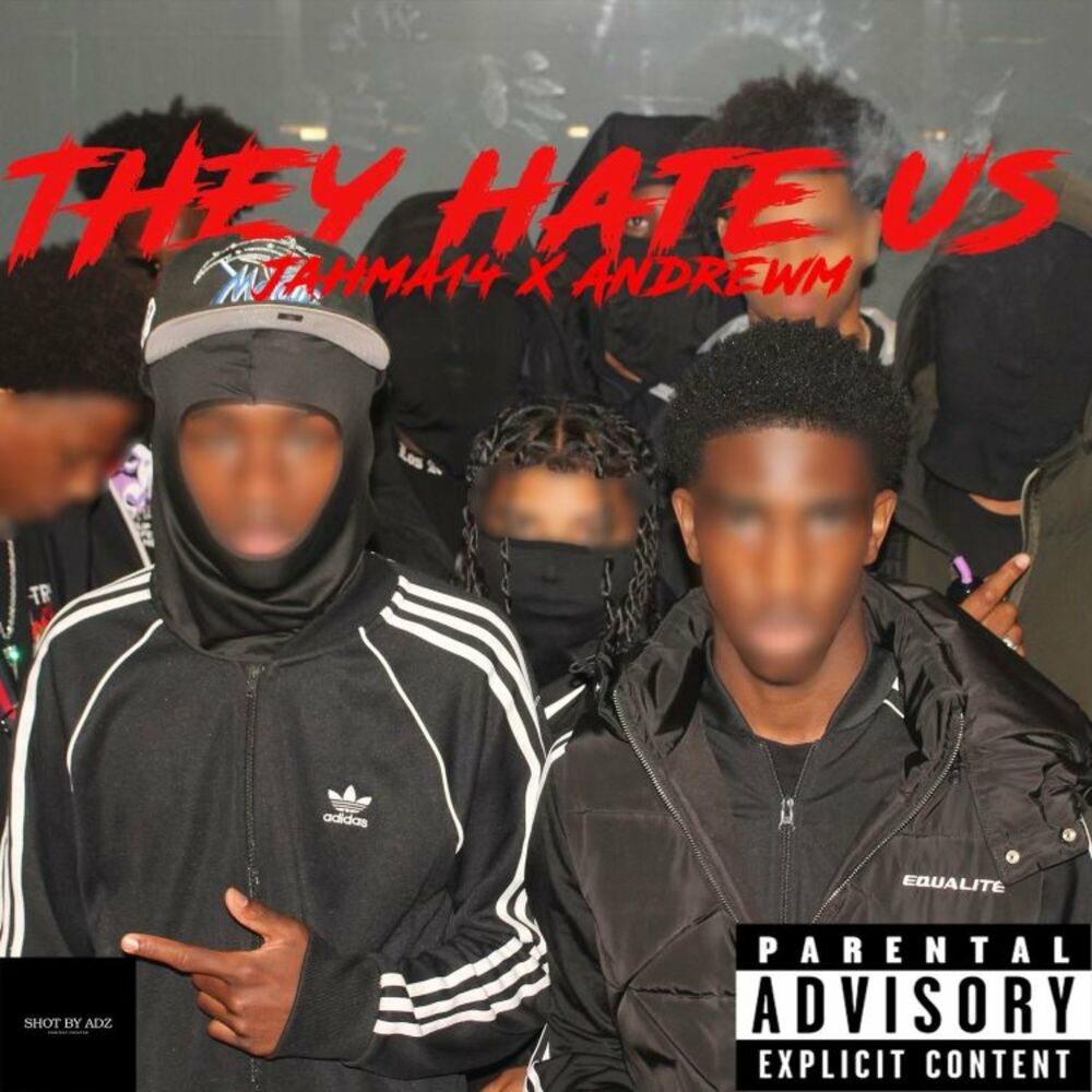 Picture of They Hate Us