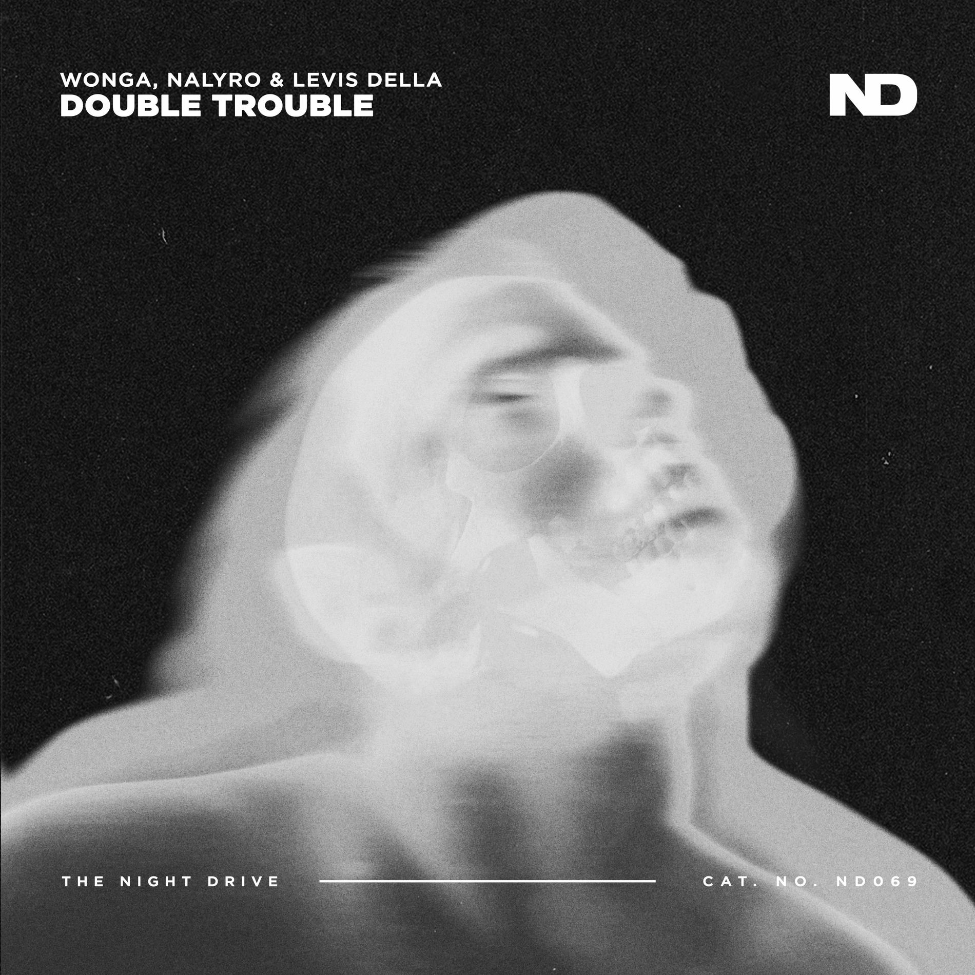 Album cover of Double Trouble