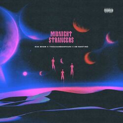 Cover of MIDNIGHT STRANGERS