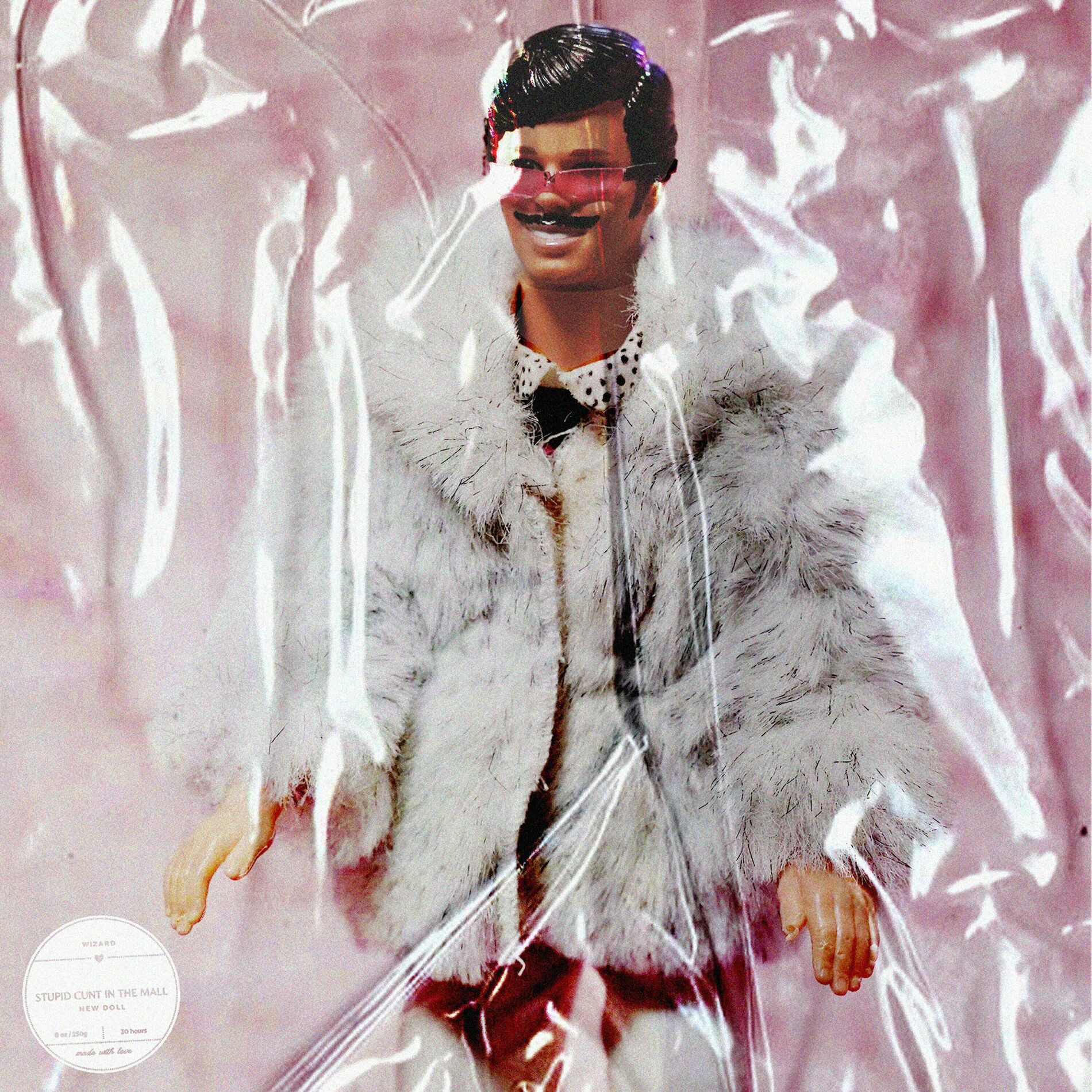 Album cover of STUPID CUNT IN THE MALL