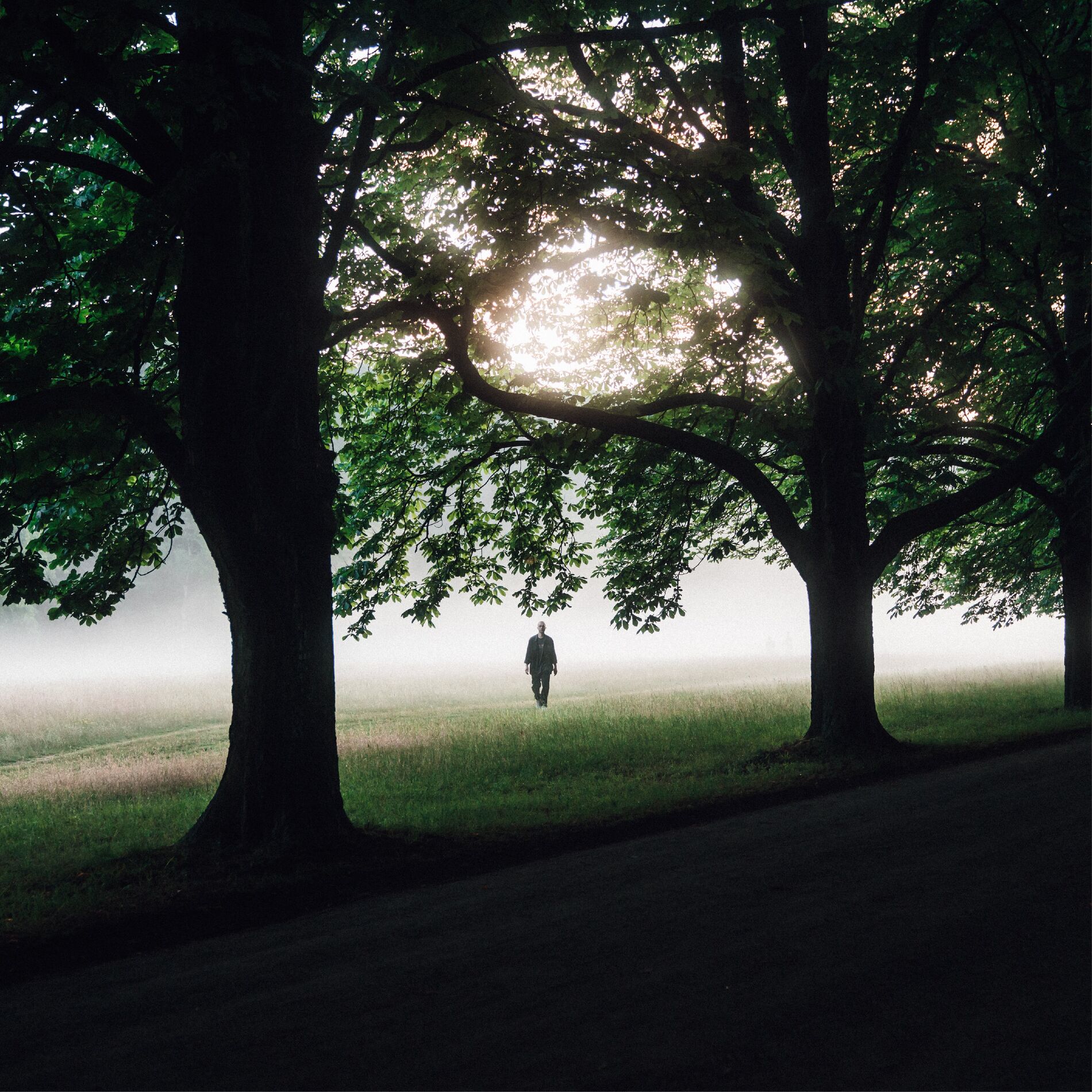 Album cover of Interim