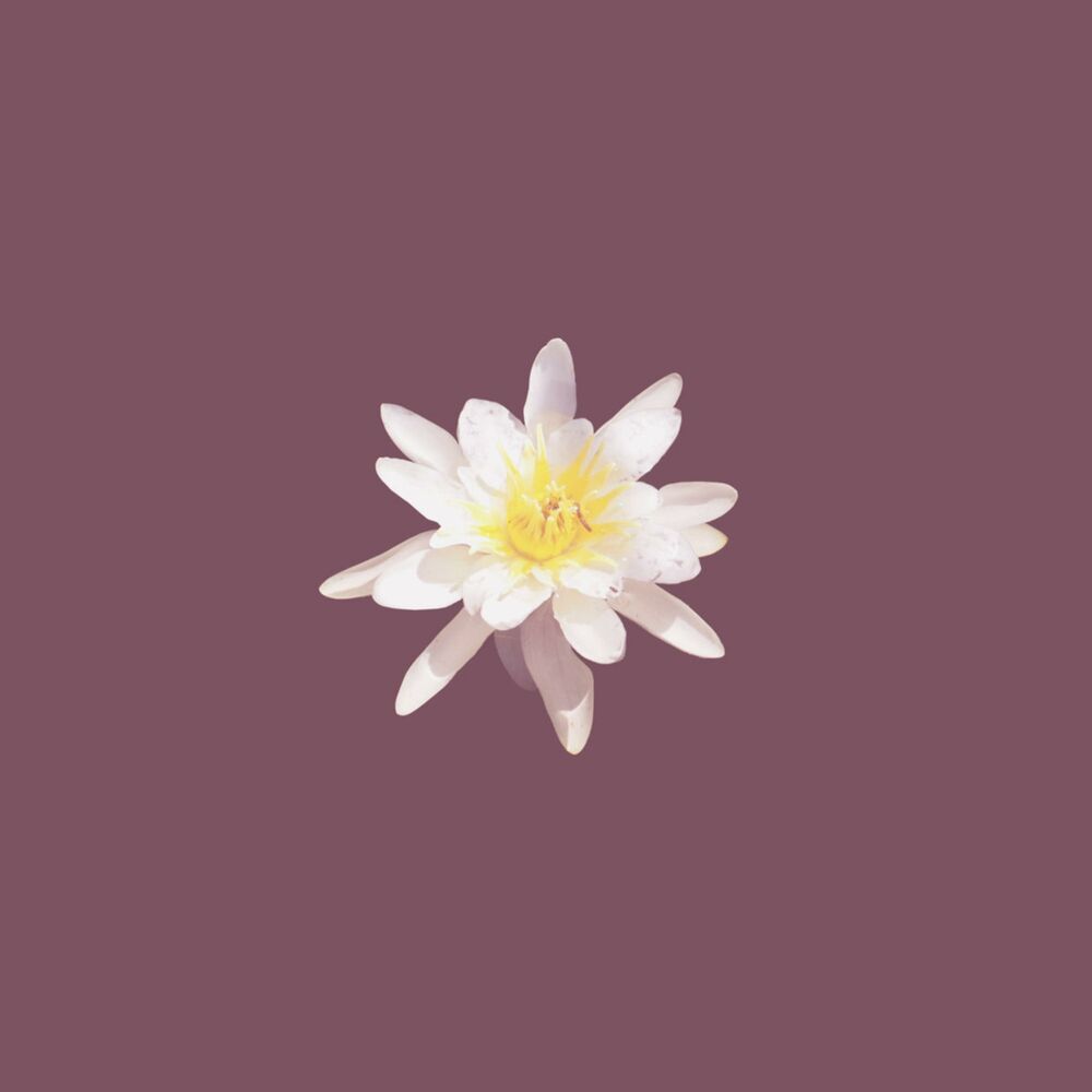 Picture of Beau the Florist