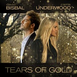 Cover of Tears Of Gold