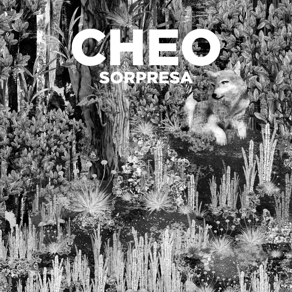 Album cover of Sorpresa