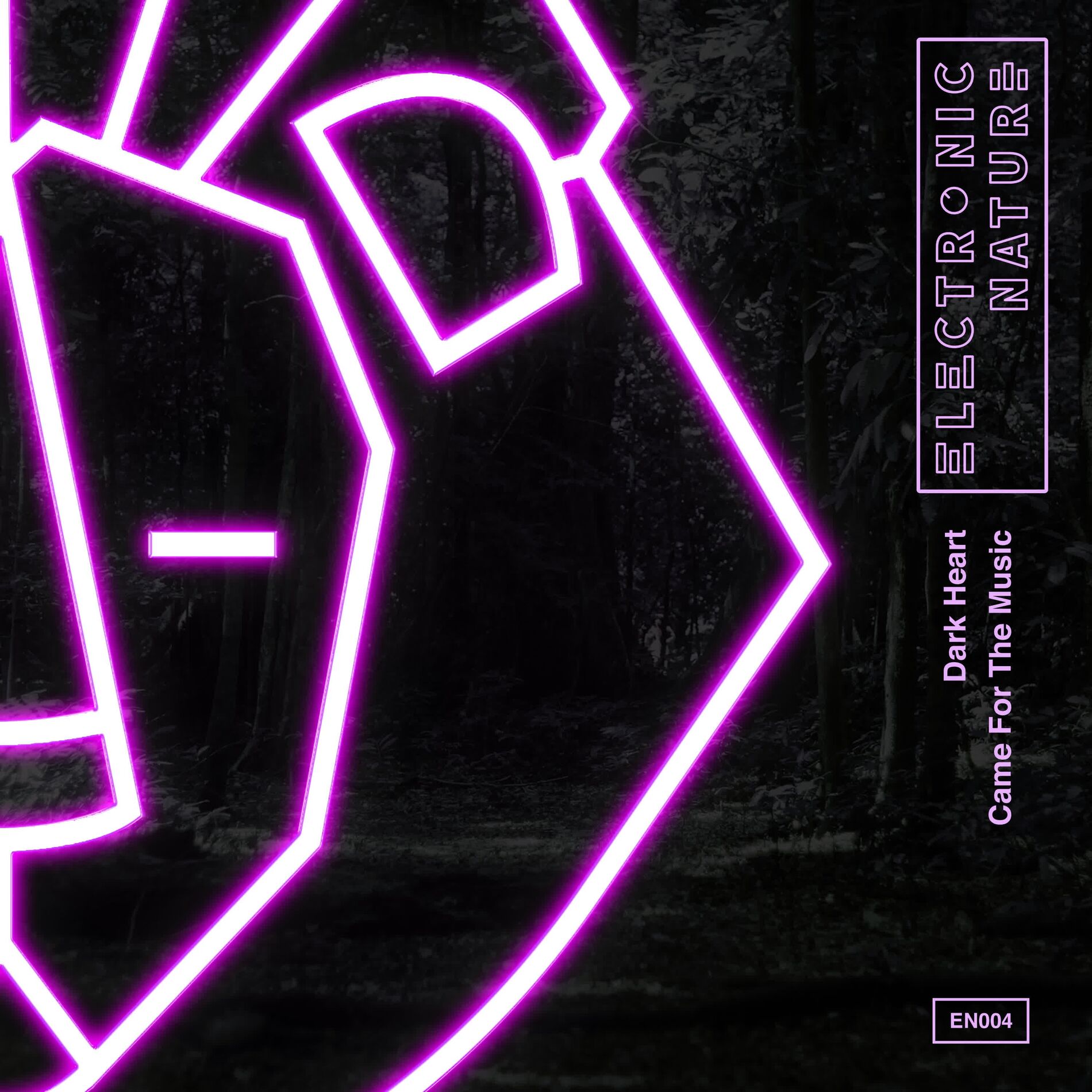 Album cover of Came For The Music