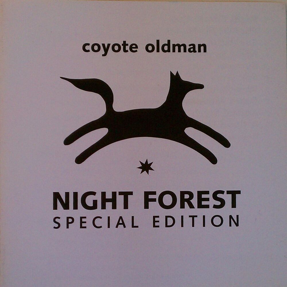 Picture of Night Forest