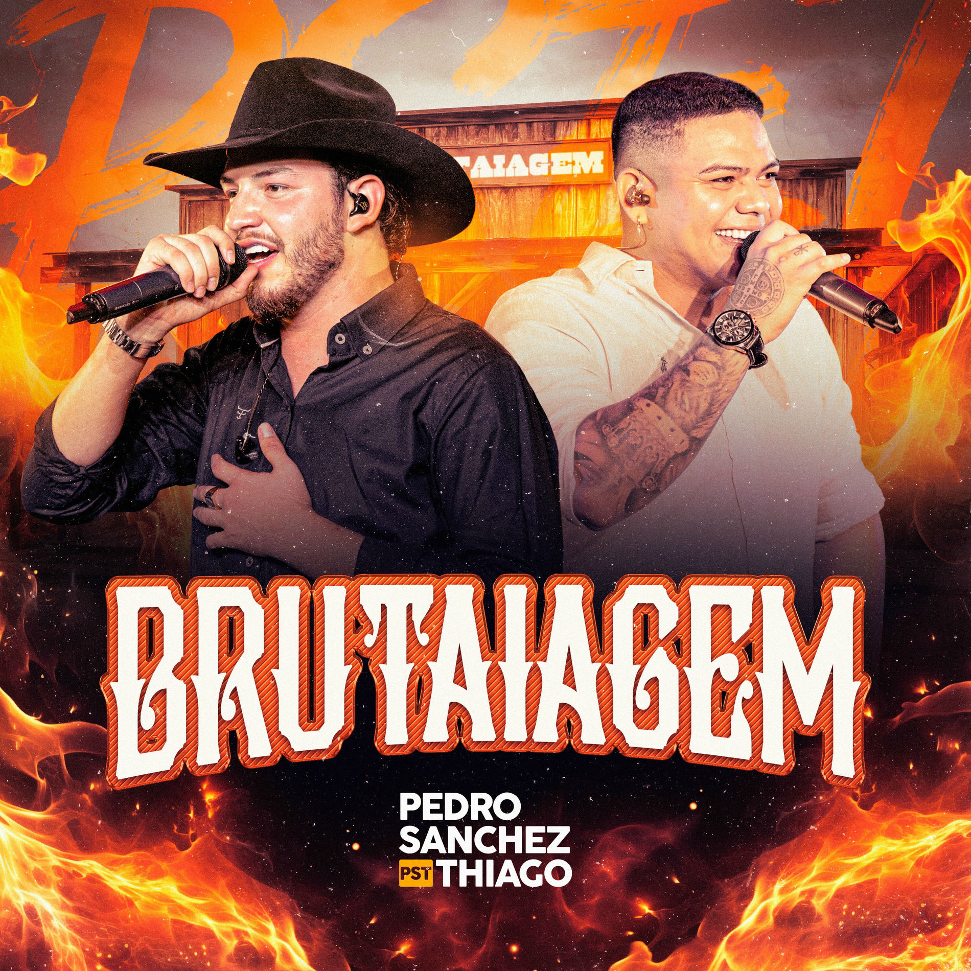 Album cover of Brutaiagem