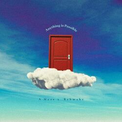 Cover of Anything is Possible