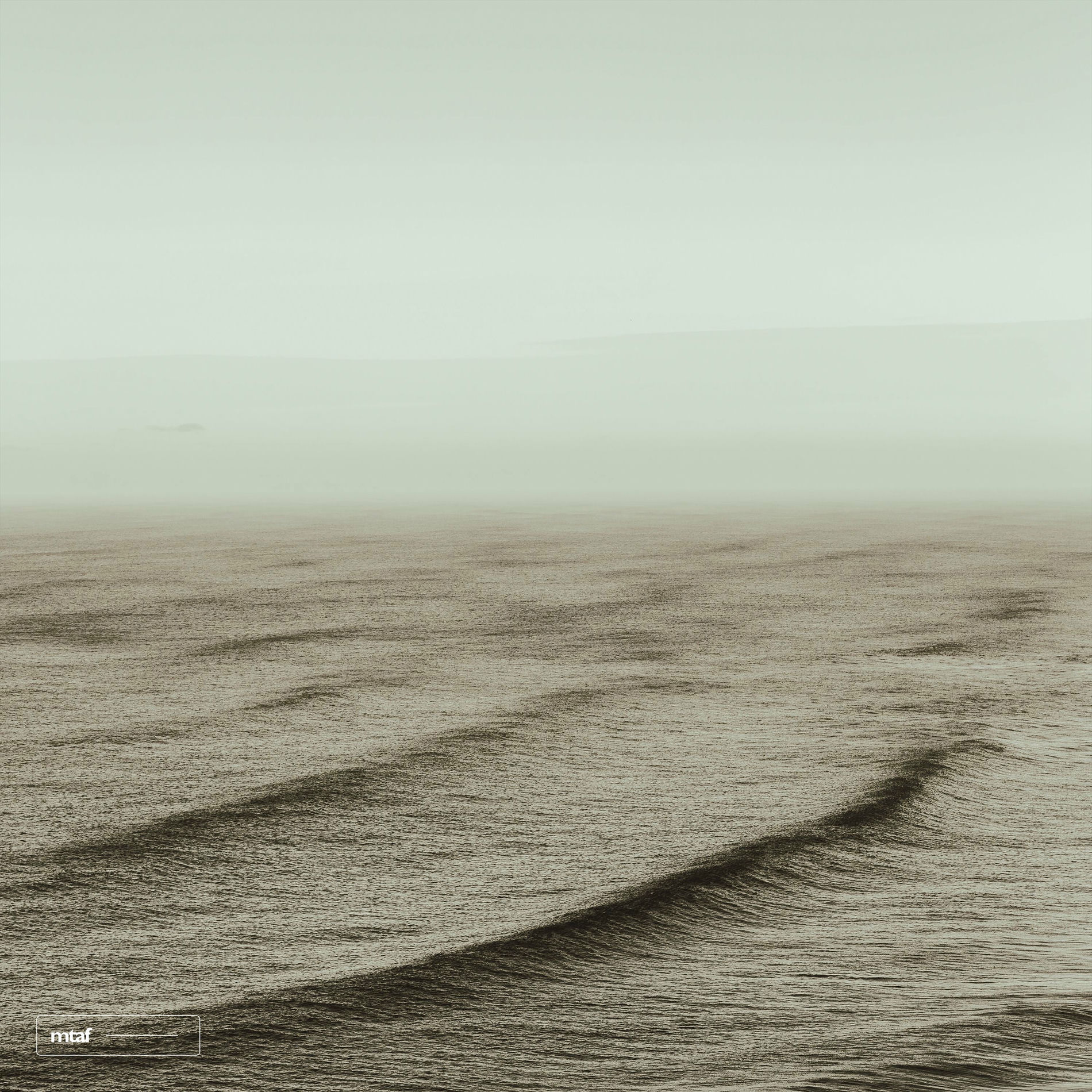 Album cover of Move Like Water