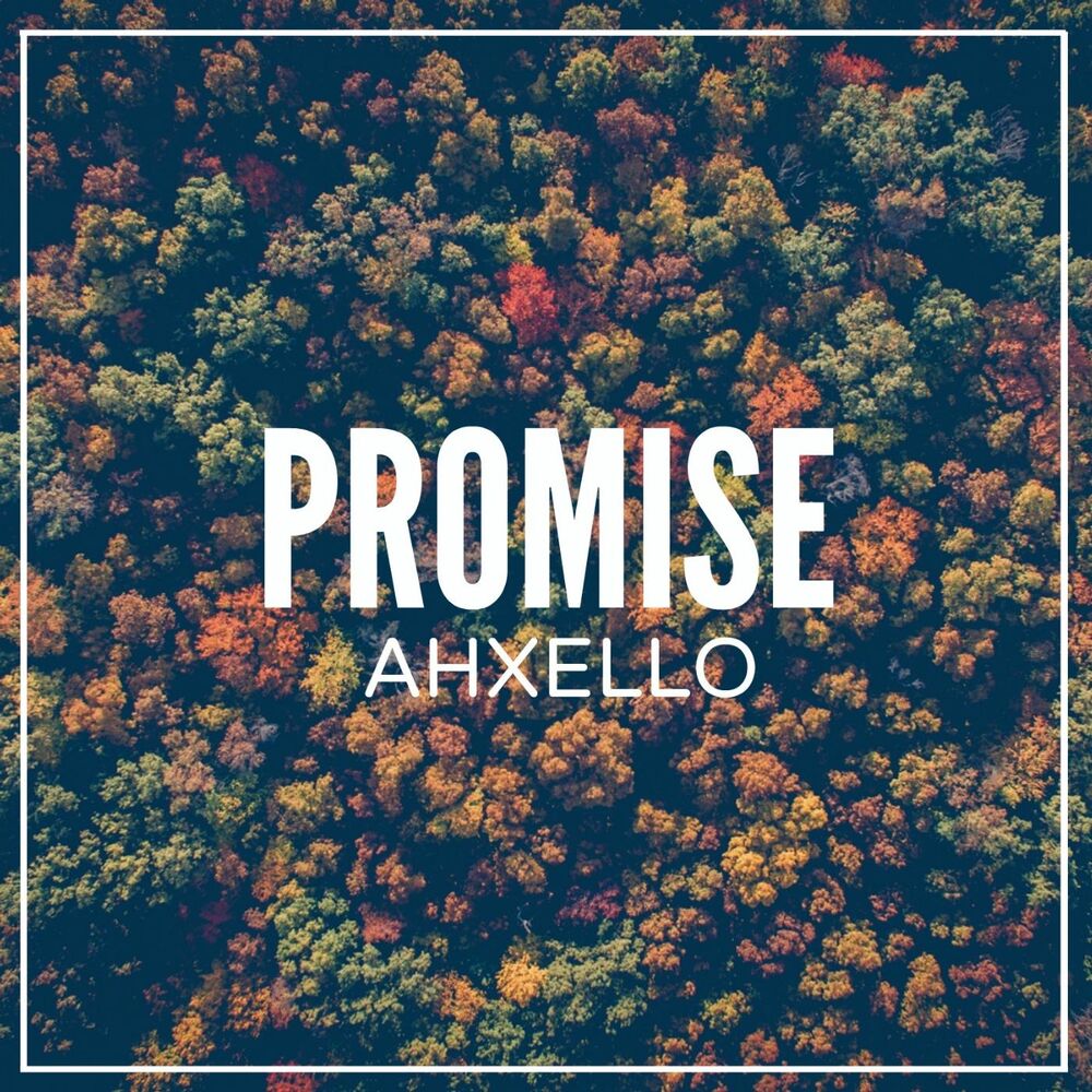 Picture of Promise