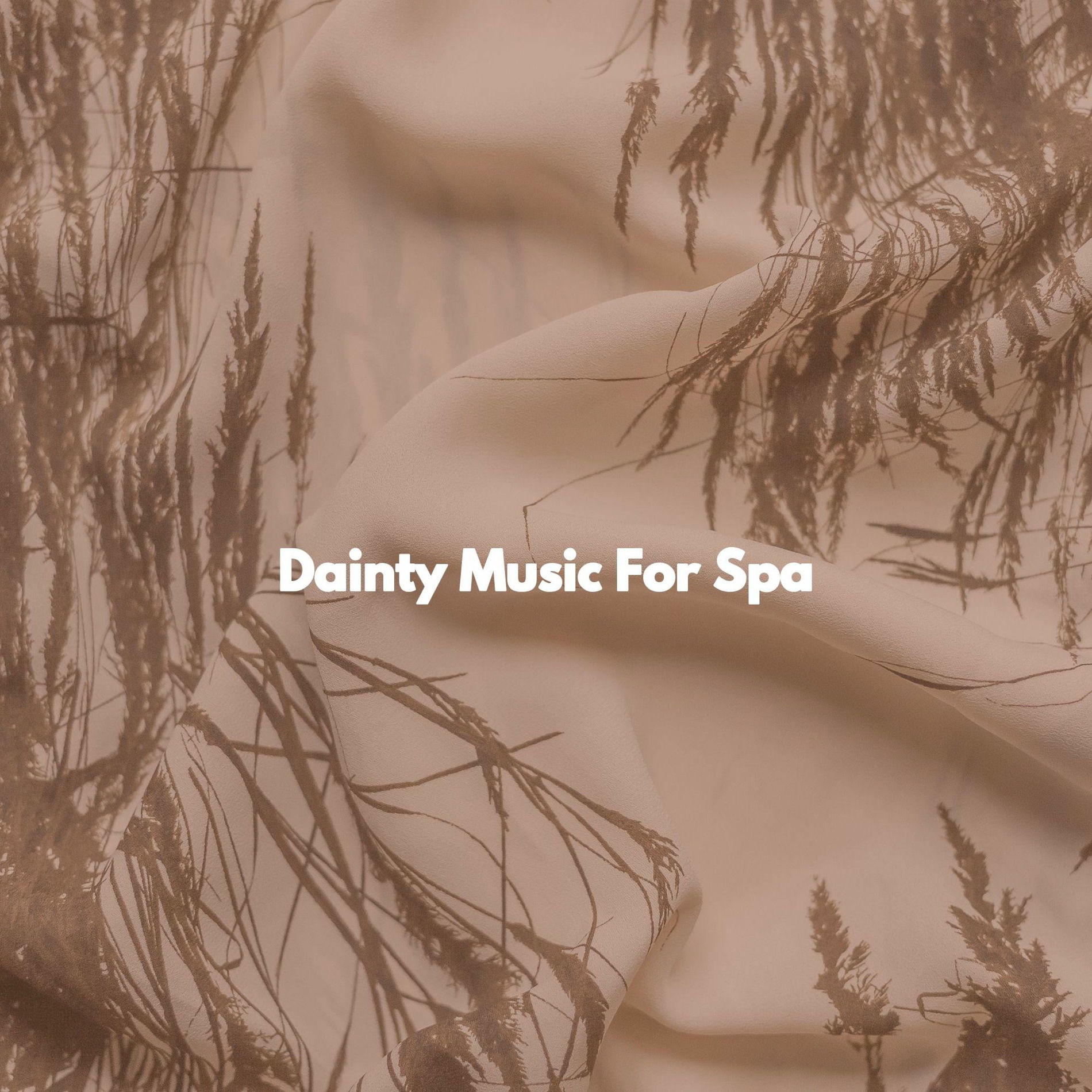 Album cover of Dainty Music For Spa