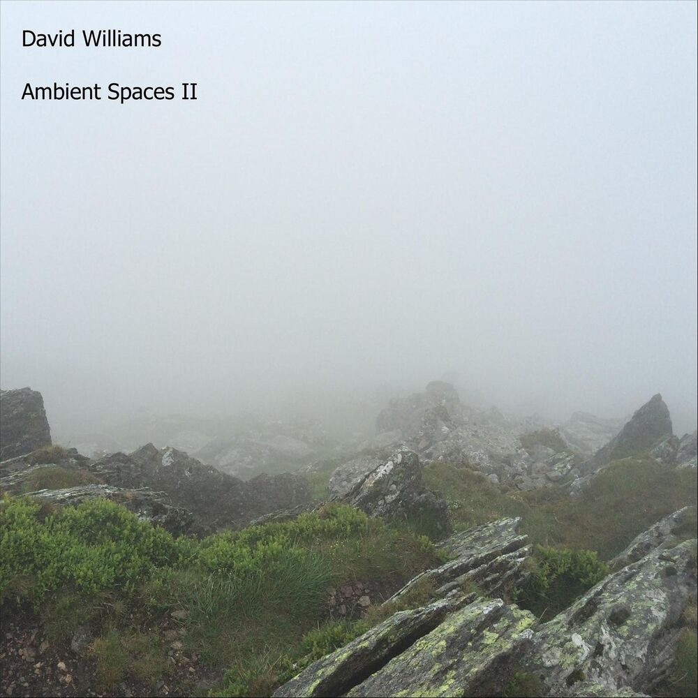 Picture of Ambient Spaces, Vol. II