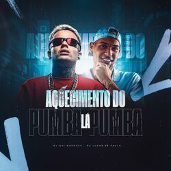 Cover of AQUECIMENTO DO PUMBA LA PUMBA