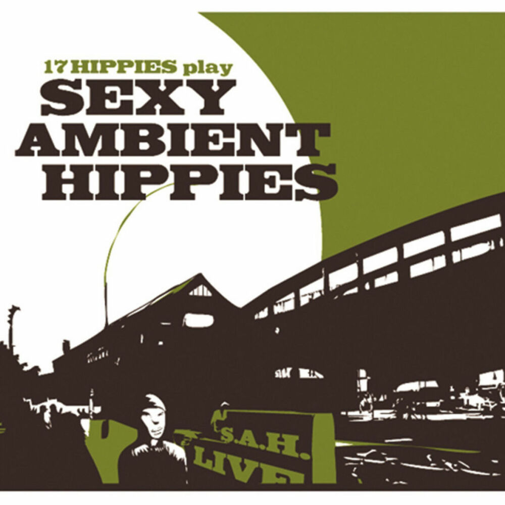 Picture of 17 Hippies Play Sexy Ambient Hippies