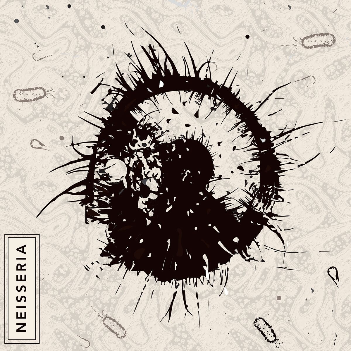Album cover of Neisseria