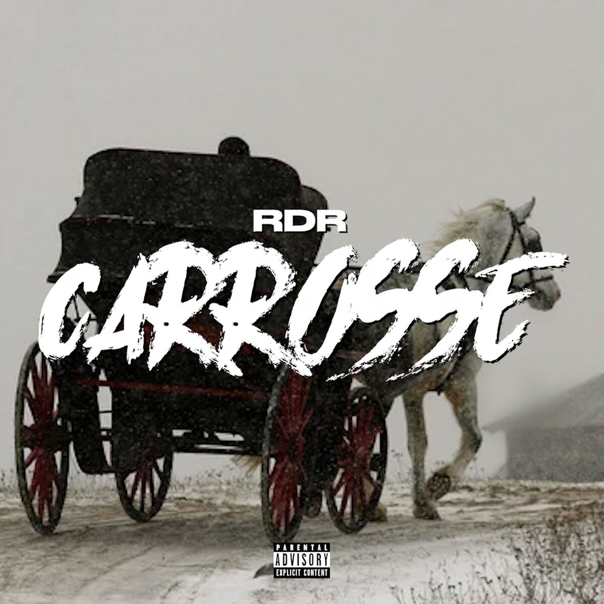Album cover of CARROSSE