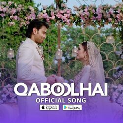 Cover of QaboolHai