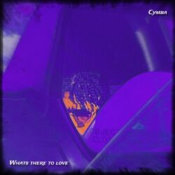 Cover of Whats There To Love