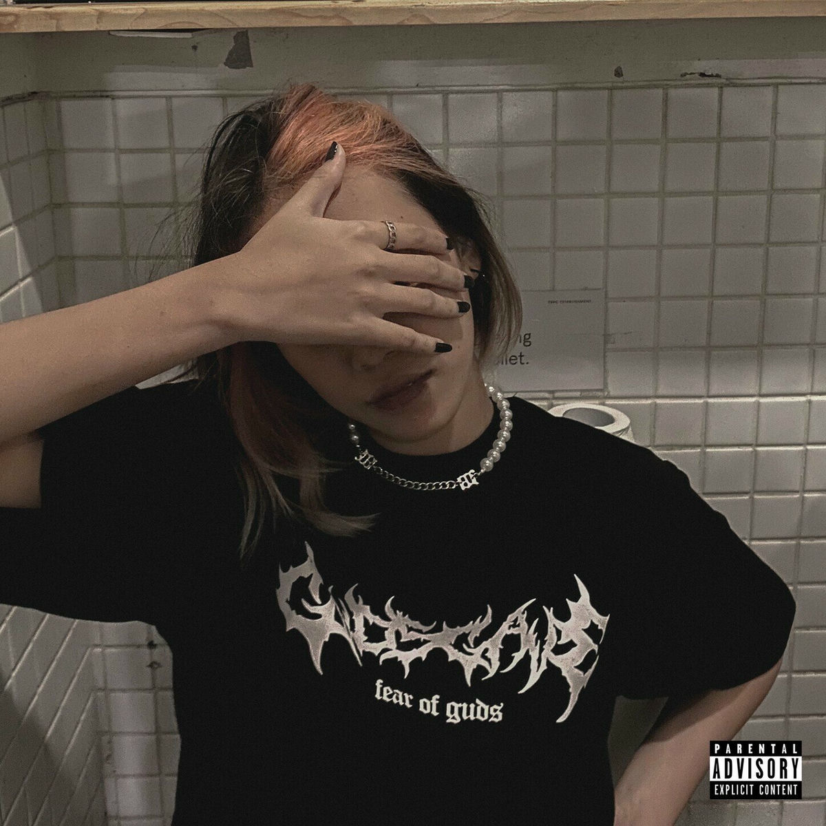 Album cover of Chromo