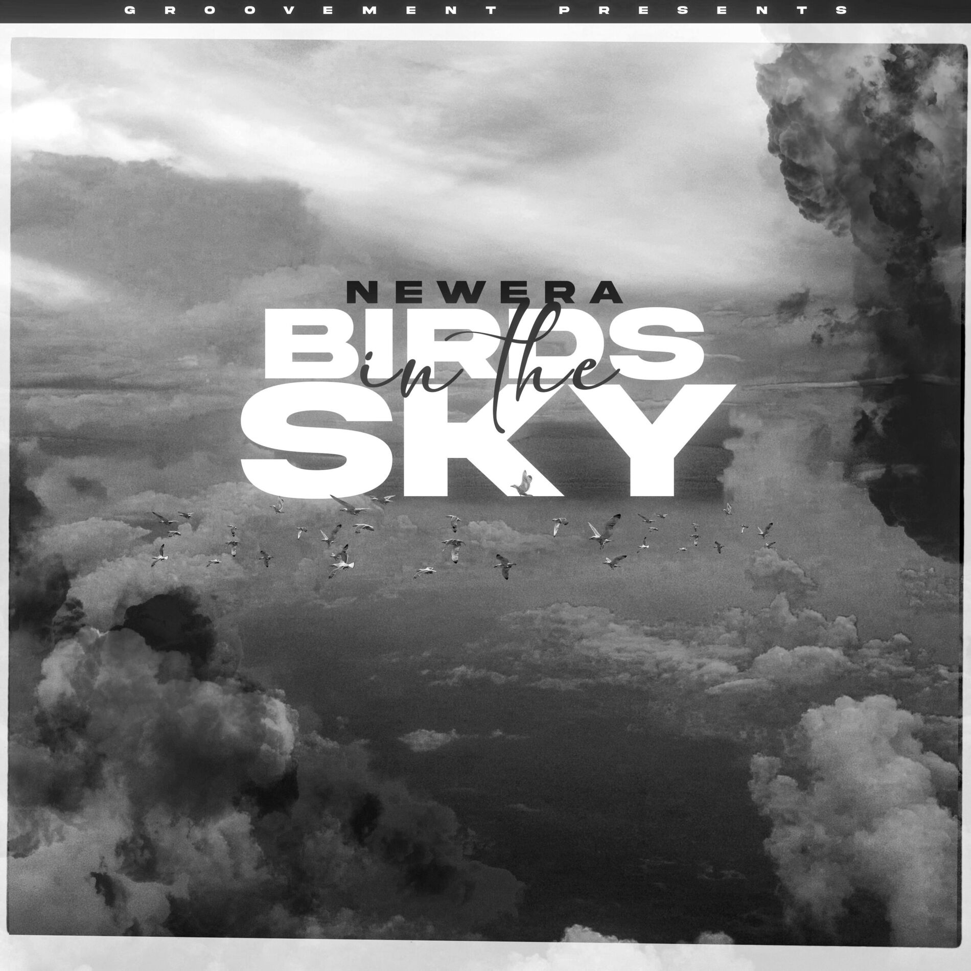 Album cover of Birds In The Sky (Acoustic)