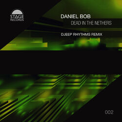 Cover of Dead in the Nethers