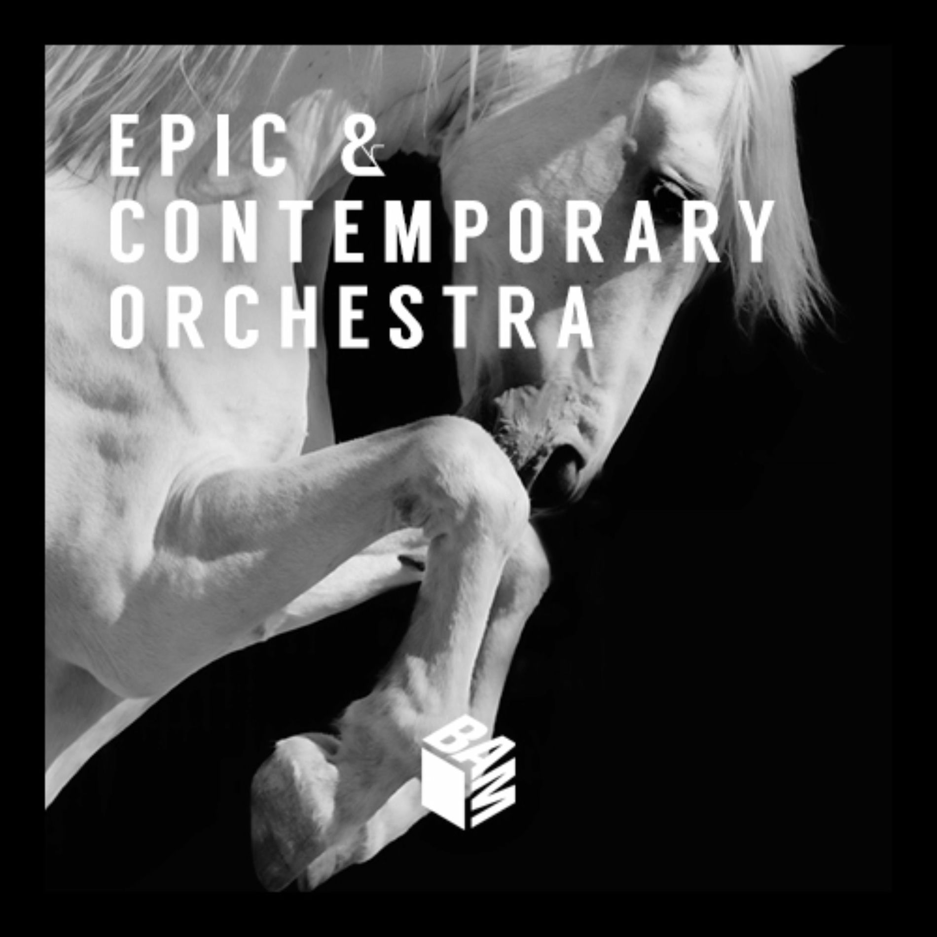 Album cover of Epic & Contemporary Orchestra