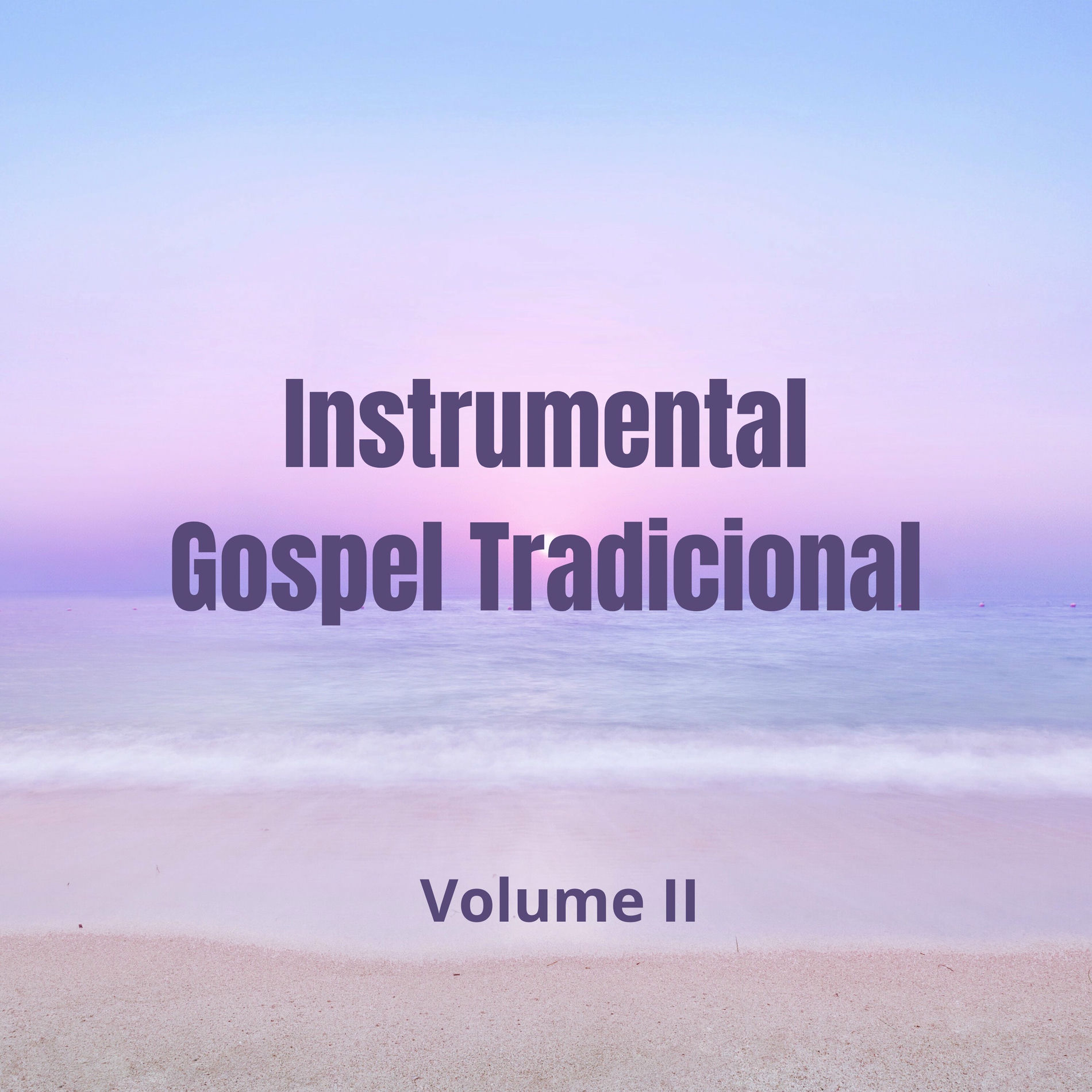 Album cover of Instrumental Gospel Tradicional, Vol. 2
