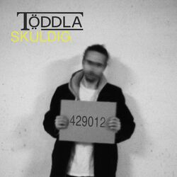 Cover of Sküldig