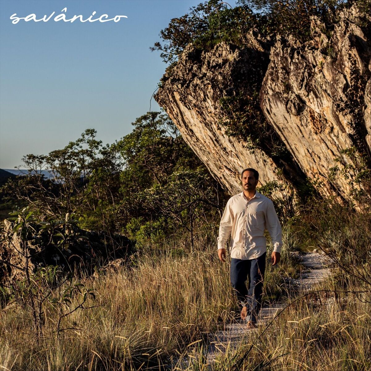 Album cover of Savânico