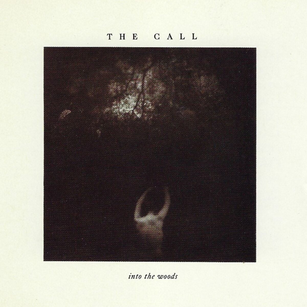 Album cover of Into the Woods