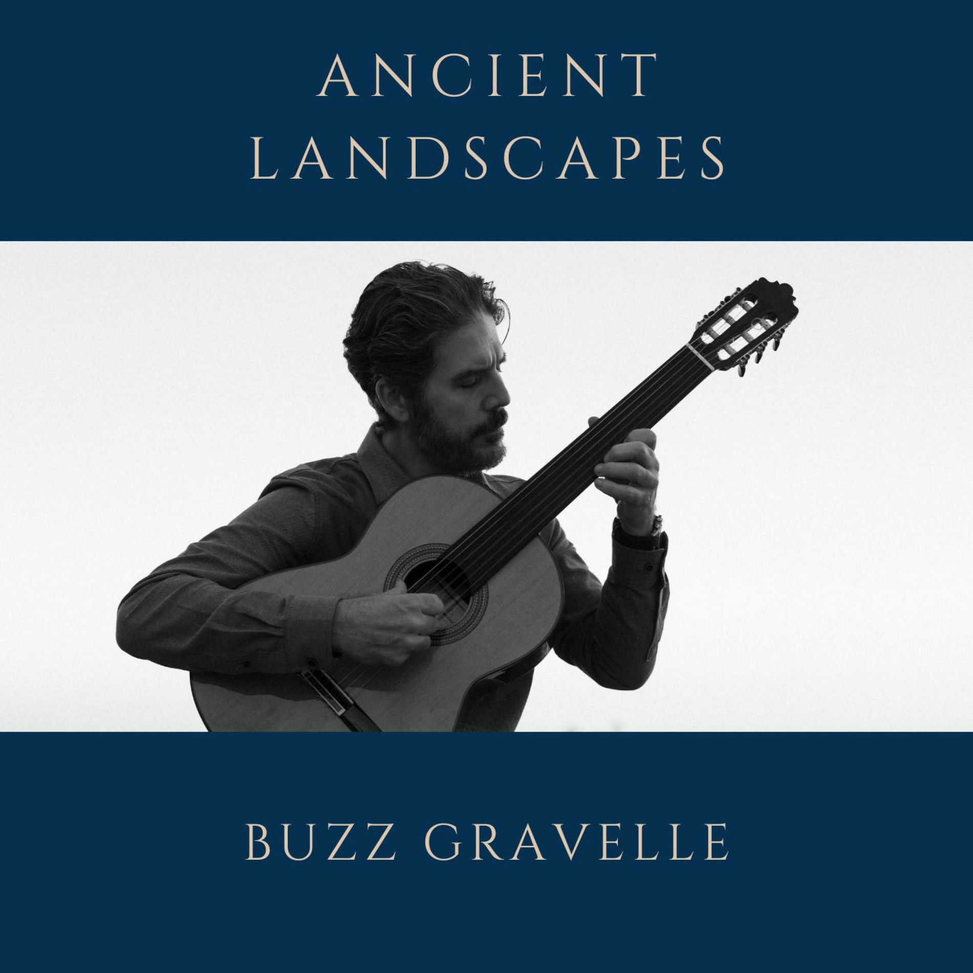 Album cover of Ancient Landscapes