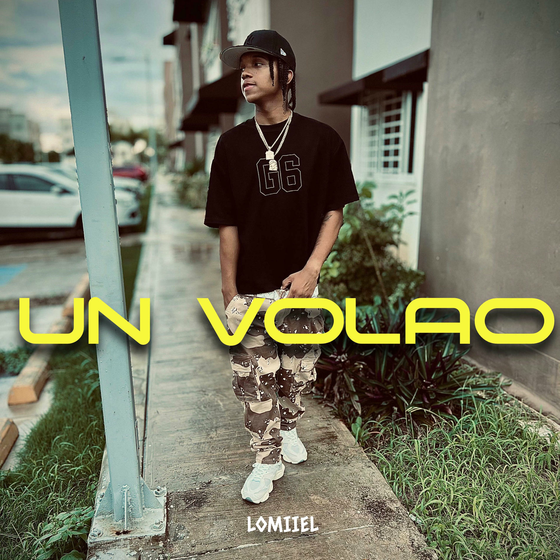 Album cover of UN VOLAO