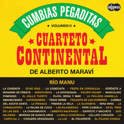 Cover of Cumbias Pegaditas Volumen 2