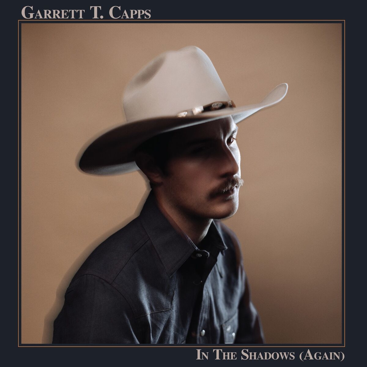 Album cover of In the Shadows (Again)
