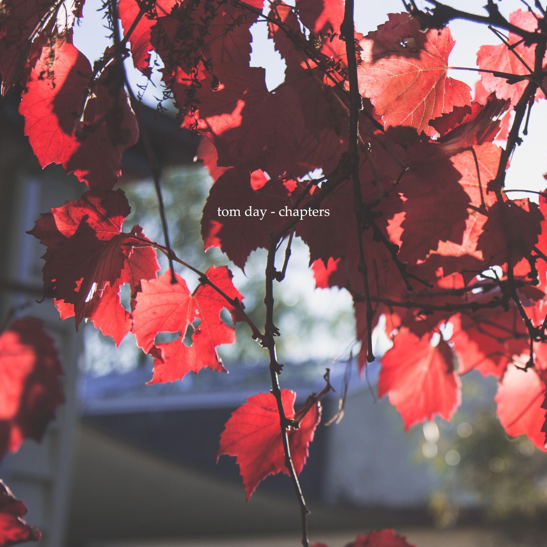 Album cover of Chapters