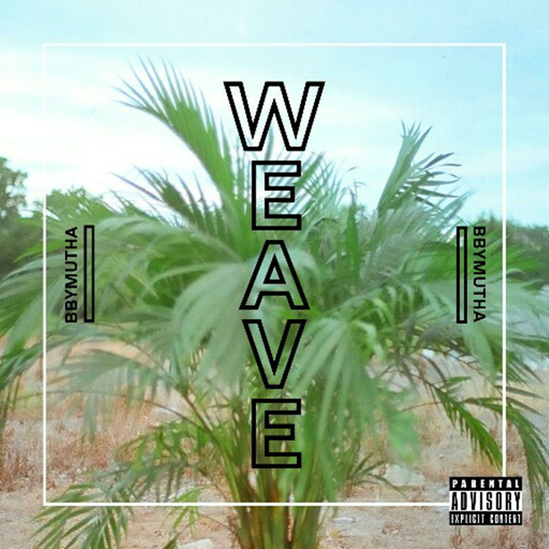 Album cover of Fiji & Emojis