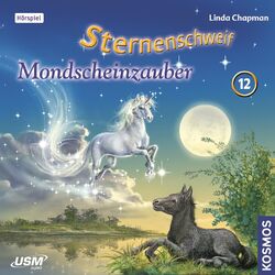 music cover