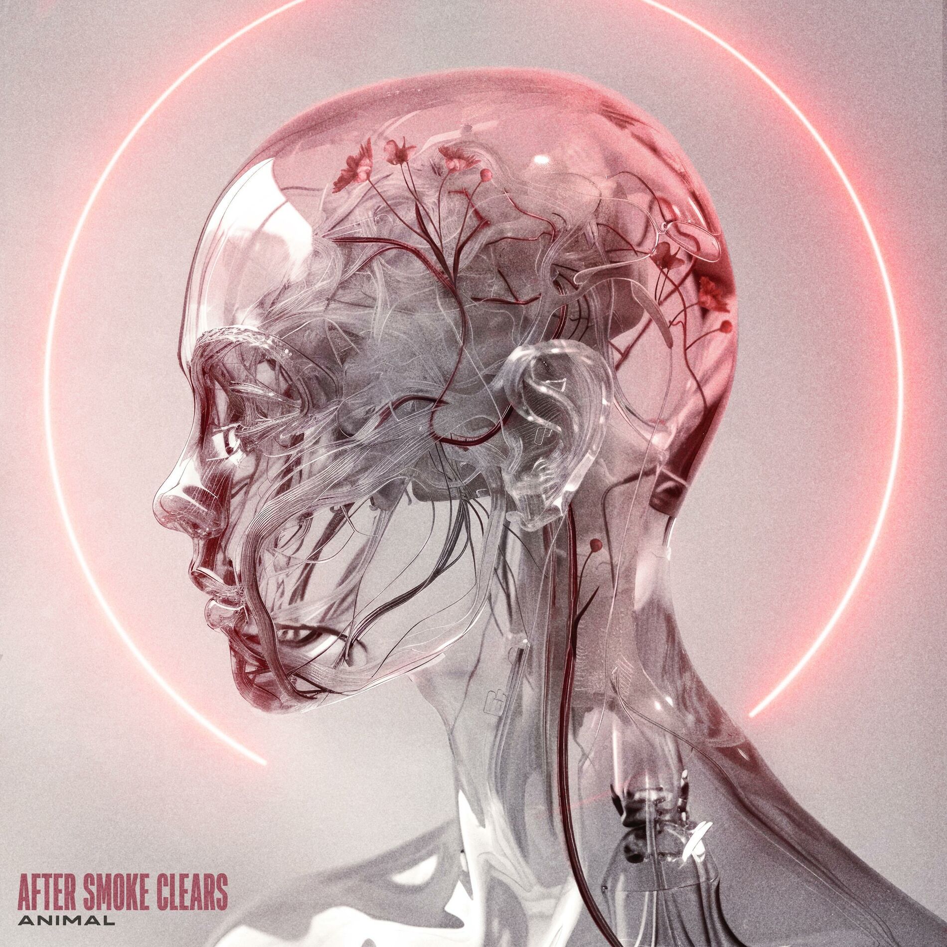 Album cover of Animal