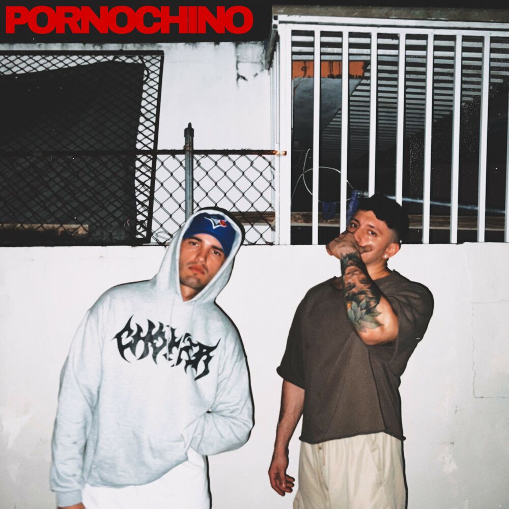 Picture of PORNOCHINO
