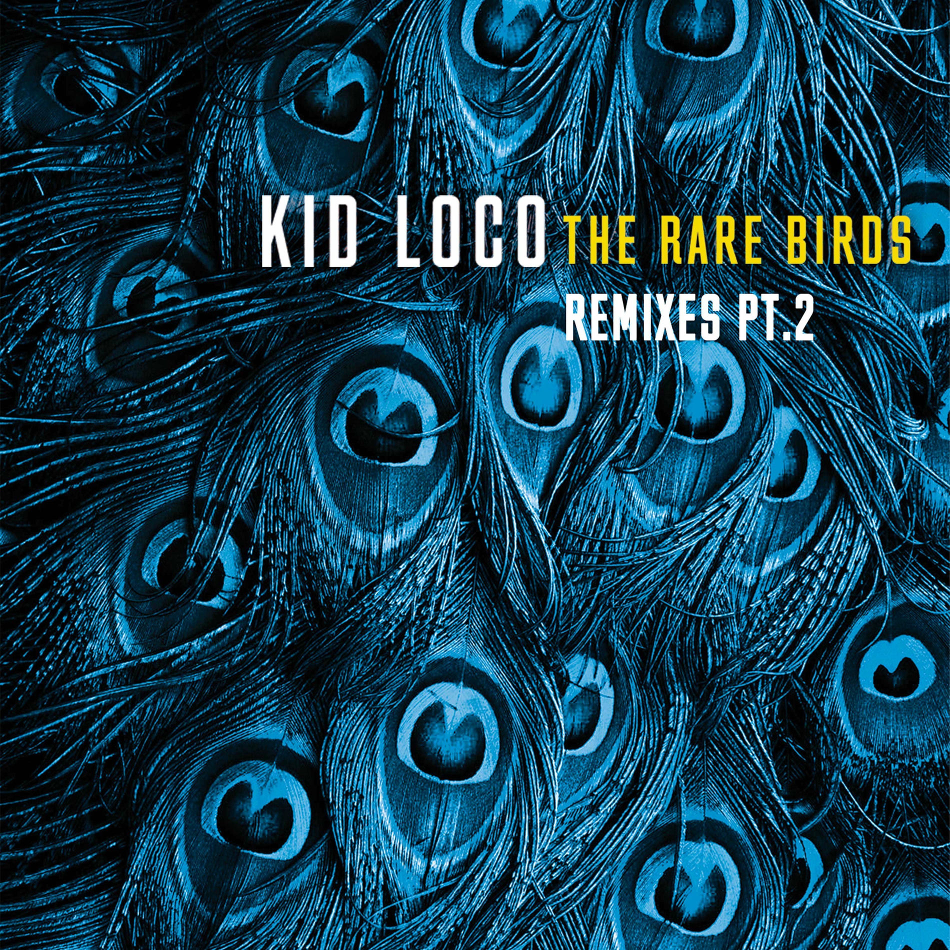 Album cover of The Rare Birds Remixes, Pt. 2