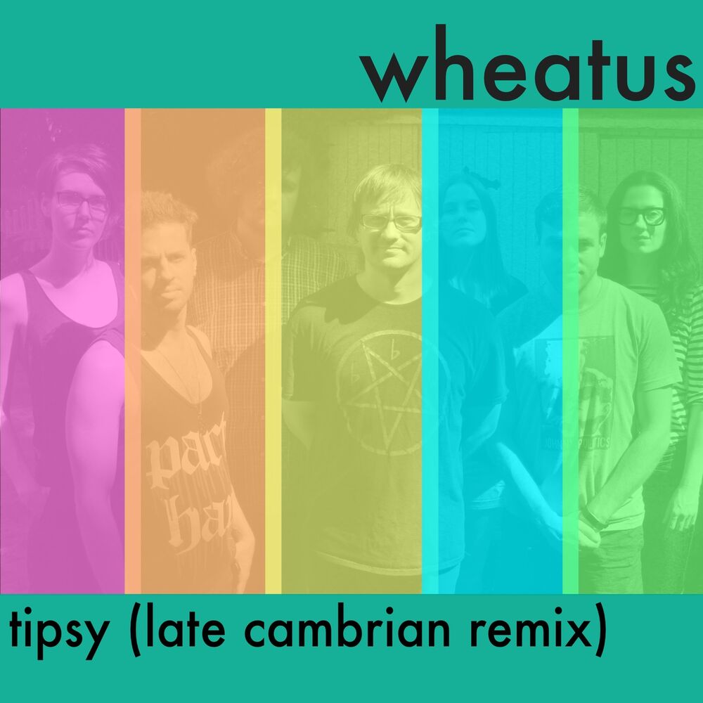 Picture of Tipsy (Late Cambrian Remix)