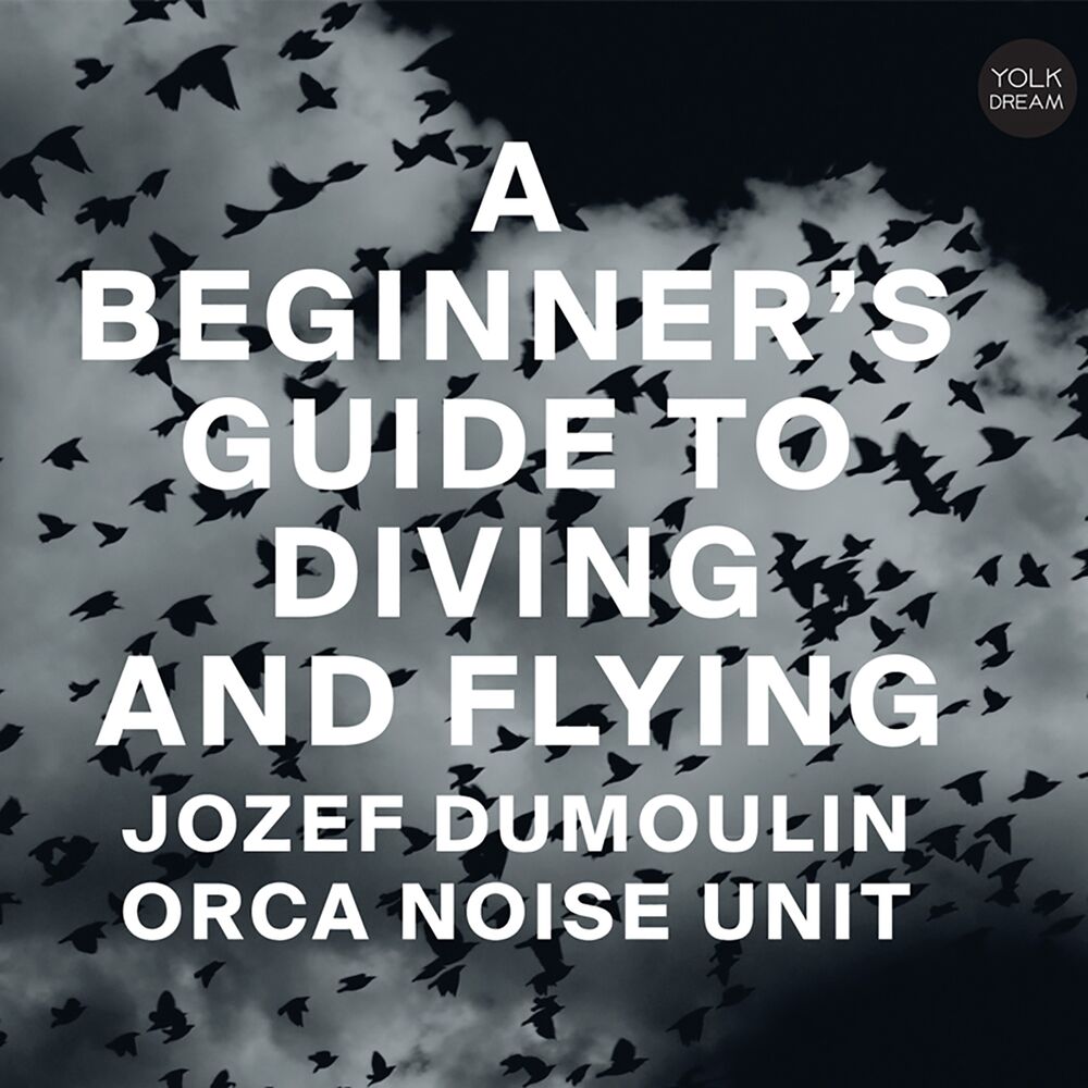 Picture of A Beginner's Guide to Diving and Flying