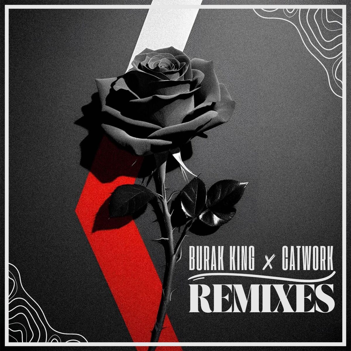 Album cover of REMIXES