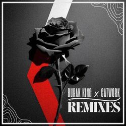 REMIXES